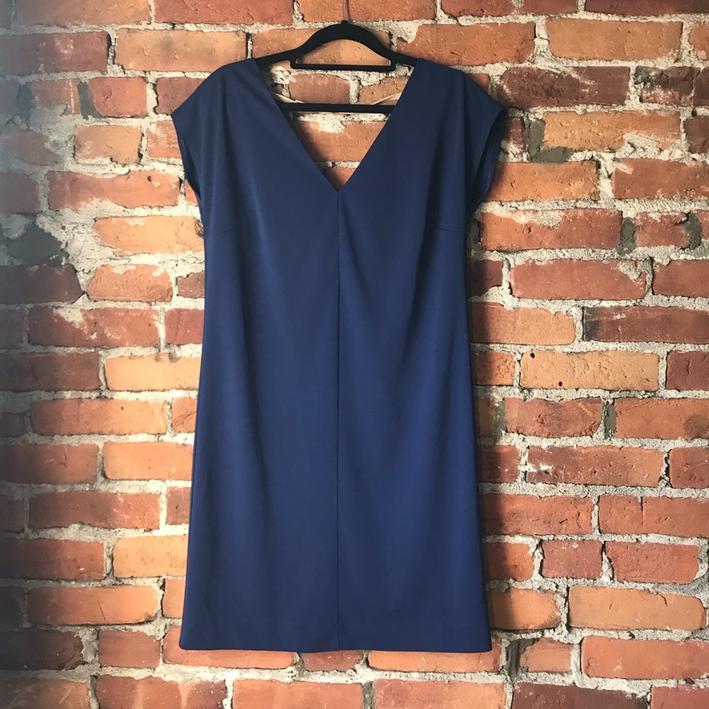 Susana Monaco • V-Neck Shift Dress